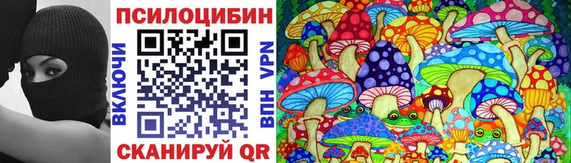Галлюциногенные грибы Psilocybe  МЕГА   Чадан 